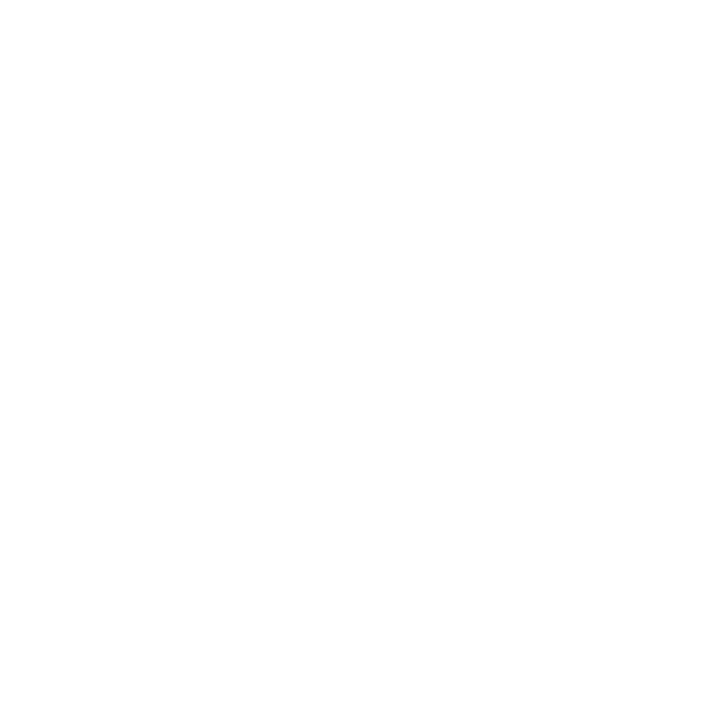 X icon