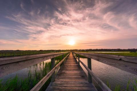 A wooden dock leads out onto a marsh with the sun rising in the background.